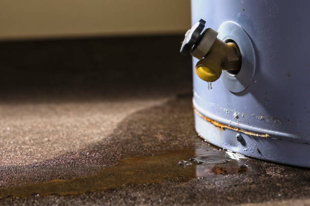 Best Water damage cleanup near me  in Hollins, VA