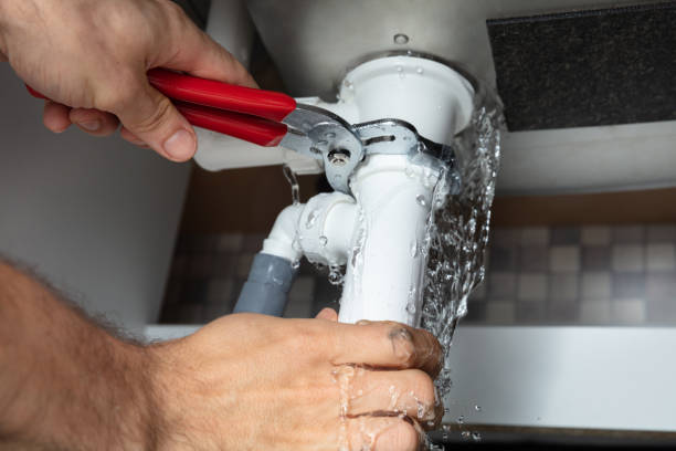 Best Water damage mitigation services  in Hollins, VA