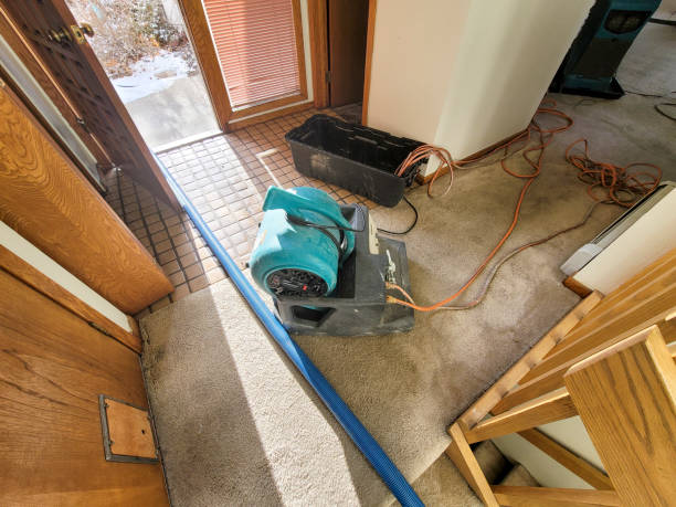 Best Carpet water damage restoration  in Hollins, VA