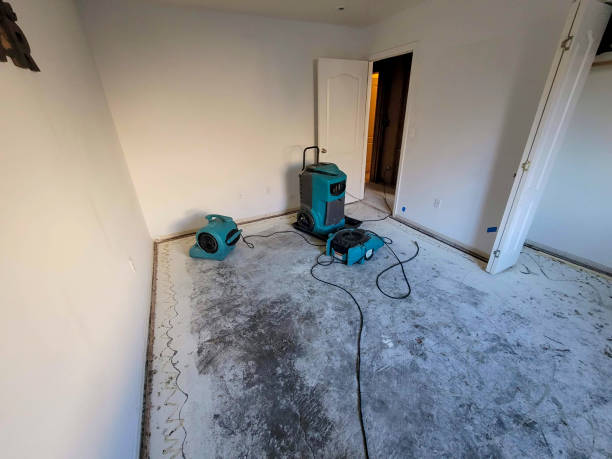 Best Fire Damage Restoration  in Hollins, VA