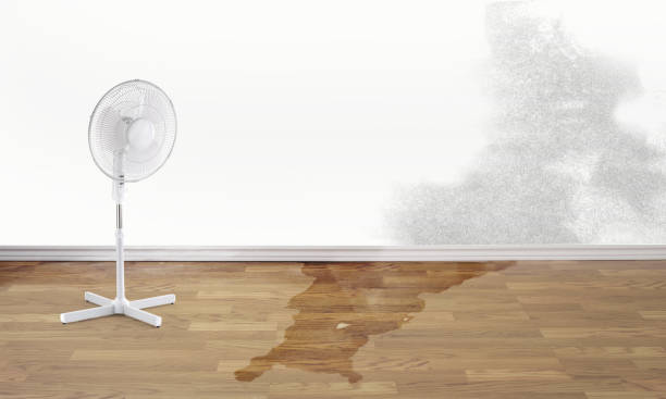 Best Flooded house restoration  in Hollins, VA