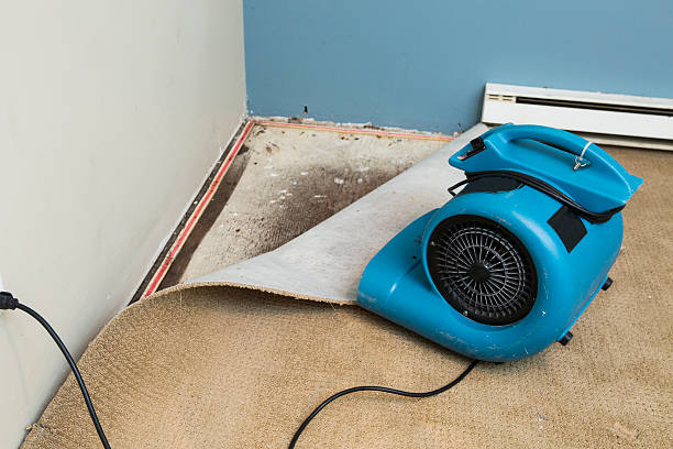 Best Flood restoration services  in Hollins, VA